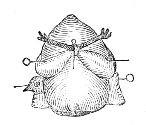 Partridge