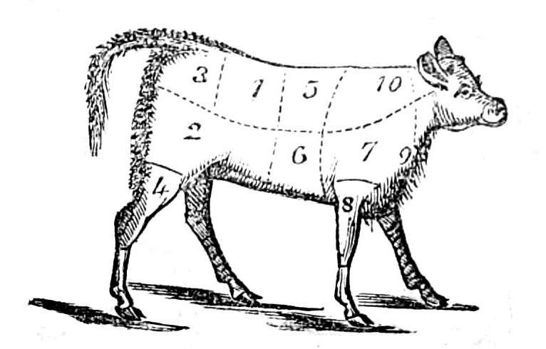 Joints of Veal