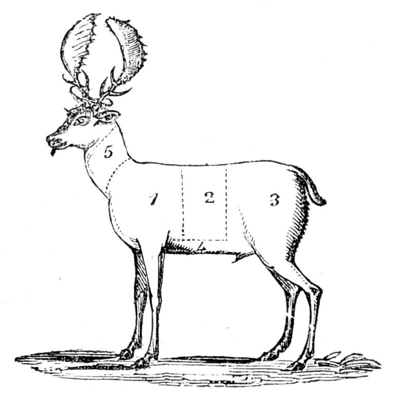 Joints of Venison