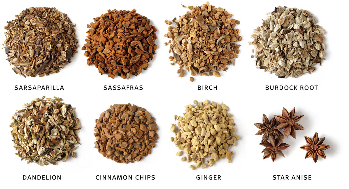 sarsaparila; sassafras; birch; burdock root; dandelion; cinnamon chips; ginger; star anise