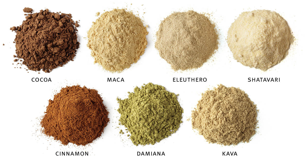 cocoa; maca; eleuthero; shatavari; cinnamon; damiana; kava