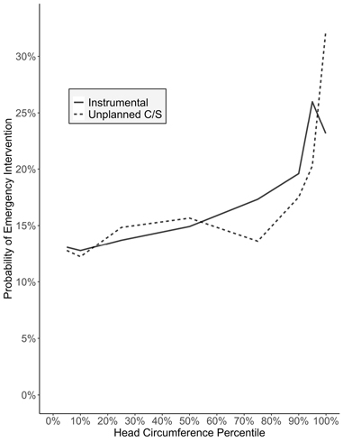 c5-fig-5003.jpg