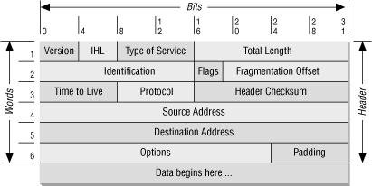 IP header and body