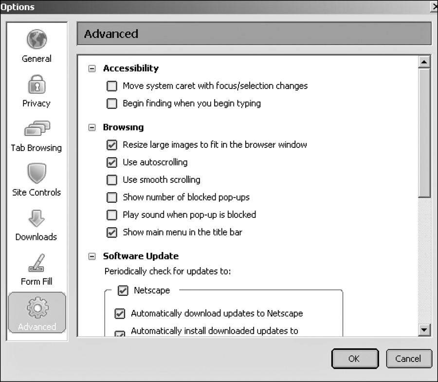 Screenshot of preferences within Netscape’s privacy and security settings.