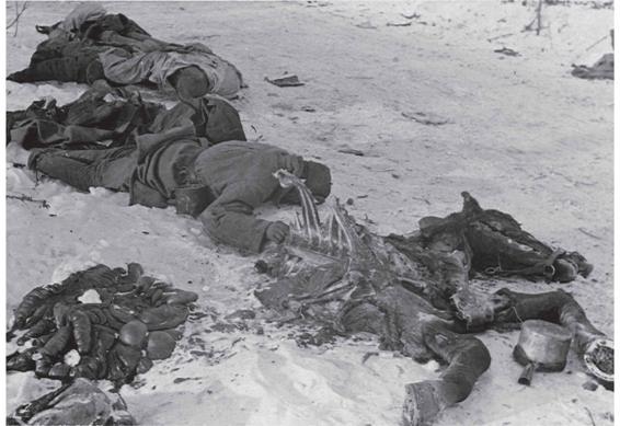 Ernst Guicking: winter retreat, 1941–2: dead Soviet soldiers and horse.