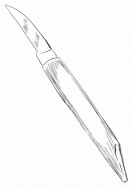 A close-up of a knife

Description automatically generated with medium confidence