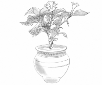 A plant in a pot

Description automatically generated with medium confidence