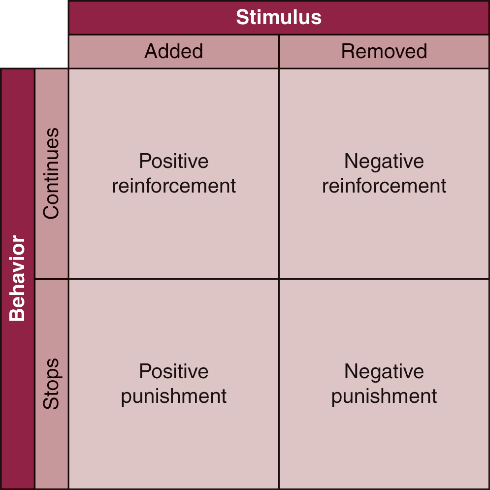 stimulus added: if behavior continues, positive reinforcement; if behavior stops, positive punishment. stimulus removed: if behavior continues, negative reinforcement; if behavior stops, negative punishment