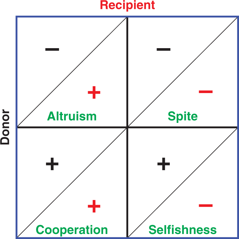 altruism: donor -, recipient +; spite: donor -, recipient -; cooperation: donor +, recipient +; selfishnses: donor +, recipient -