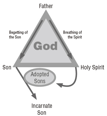 Diagram 4.5: Trinitarian Adoption