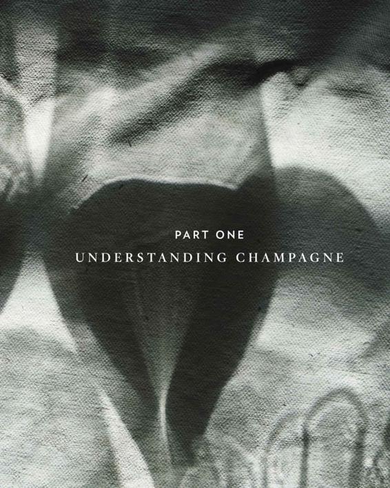 Part One: Understanding Champagne