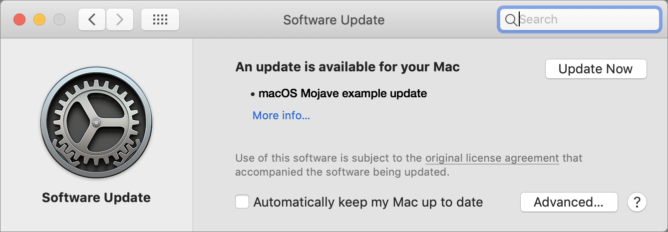 Figure 1: Configure automatic updates for Mojave and later on the Software Update pane.