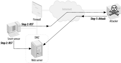 Snort as a session interceptor