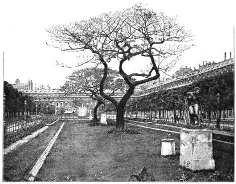 GARDENS OF THE PALAIS ROYAL.