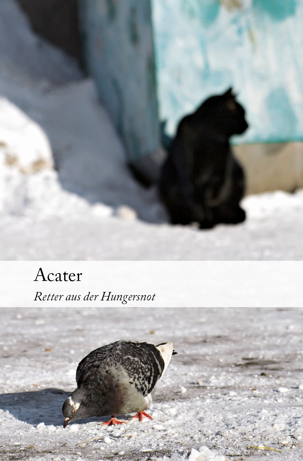 Acater