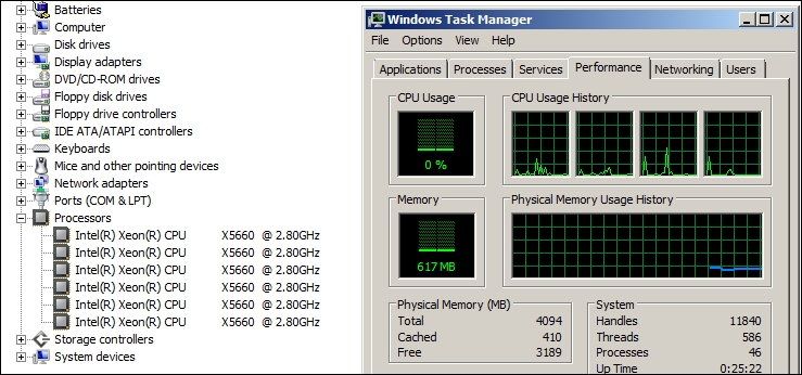 Virtual CPUs (vCPUs)