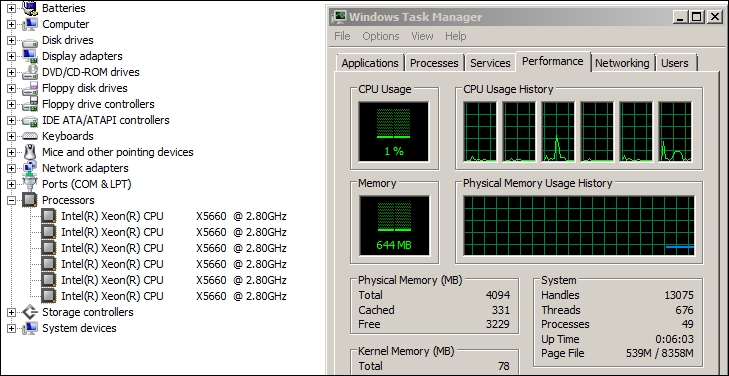 Virtual CPUs (vCPUs)