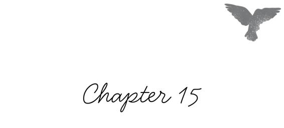 Chapter 15