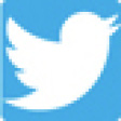 logo_twitter.jpg