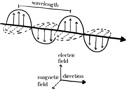 11047_004_fig_061.jpg