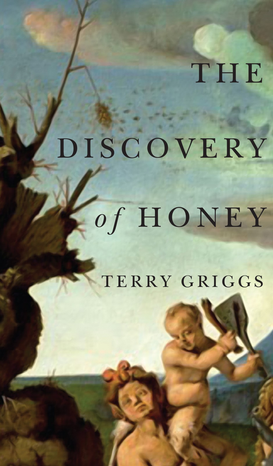 The_Discovery_of_Honey_-_Cover_3.jpg