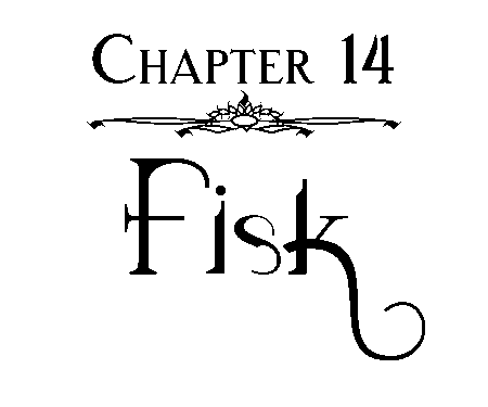 Chapter 14