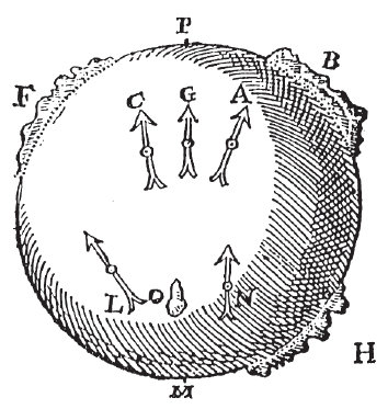 Fig. 14 - Imã em forma de globo