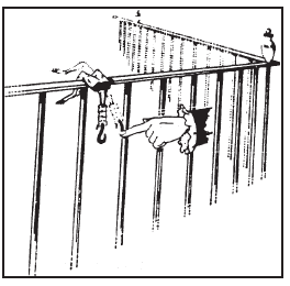 Fig. 19 - Experiência de Galvani com uma rã