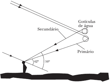 Fig. 31 - A reflexão