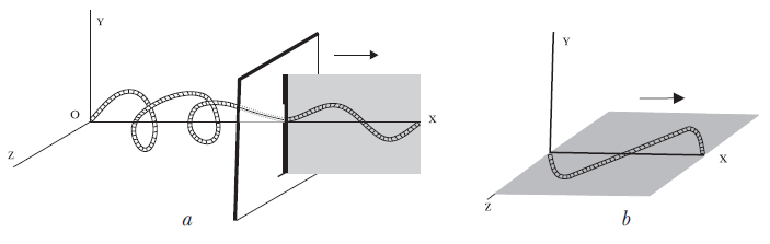 Fig. 46 - Polarização