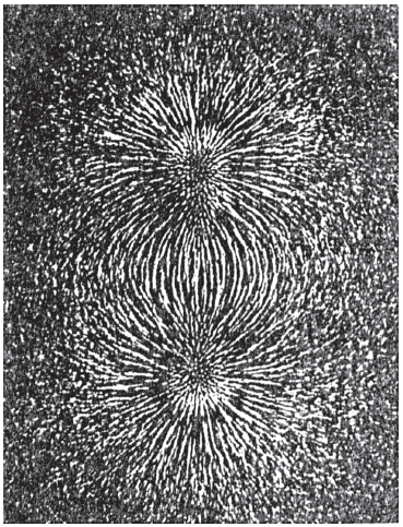 Fig. 65 - Limalhas de ferro