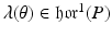 
$$\lambda (\theta ) \in \mathfrak{h}\mathfrak{o}\mathfrak{r}^{1}(P)$$
