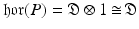 
$$\mathfrak{h}\mathfrak{o}\mathfrak{r}(P) = \mathfrak{D} \otimes 1\mathop{\cong}\mathfrak{D}$$
