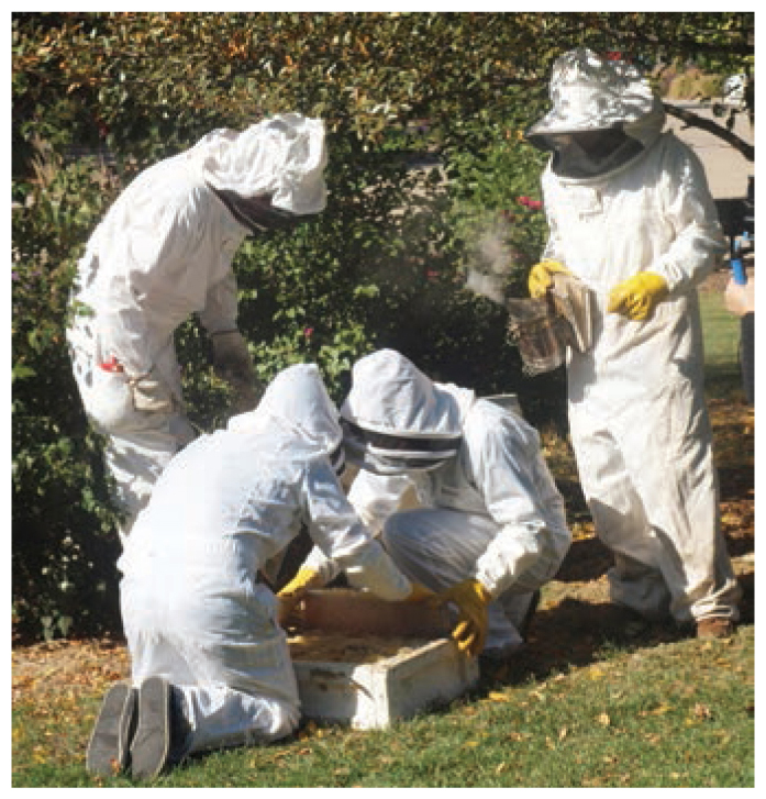 CHSAS students collect honey...