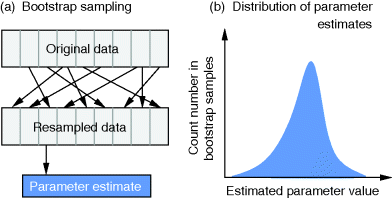 (a) Figure depicting bootstrap sampling where multiple downward arrows point from a rectangle denoting original data to a rectangle denoting resampled data. From resampled data a downward arrow points at parameter estimate. (b) A bell-shaped curve (blue colored) is obtained between count number in bootstrap samples on the y-axis and estimated parameter value on the x-axis.