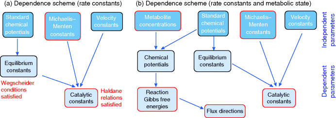 (a) Figure depicting dependence scheme for rate constants where an arrow from standard chemical potentials point at equilibrium constants. Arrows from Michaelis?Menten constants, velocity constants, and equilibrium constants point at catalytic constants. (b) Figure depicting dependence scheme for a kinetic model in a specific metabolic state. The scheme additionally includes metabolite concentrations, chemical potentials, and reaction Gibbs free energies, which predefine the flux directions.