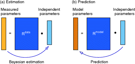 Figure depicting parameter balancing. (a) A rectangle denoting Rdata has on its left- and right-hand sides bar denoting measured parameters and independent parameters, respectively. A curved arrow labeled Bayesian estimation points from the left bar to right bar. (b)  A rectangle denoting Rmodel has on its left- and right-hand sides bar denoting measured parameters and independent parameters, respectively. A curved arrow labeled prediction points from the right bar to left bar.