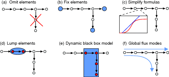 (a) Figure depicts omit elements where five circle in series are connected by rightward arrows. Fourth circle from left forms another chain of circles that is omitted represented by a cross sign on it. (b) The first and last circle and the last circle of the branching chain is shaded blue and are slightly bigger. (c) Simplifying mathematical expressions and neglecting insensitive parameters. (d) Second and third circles from left are enclosed in a blue colored ellipse and the circles are colored red. (d) The branching chain along with the third and fourth circle is enclosed in a blue colored box. (e) A rightward arrow is present above the circles and a curved right downward arrow is present along the branching chain.