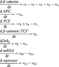 equation