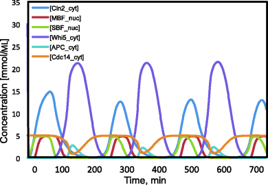 (a) The figure depicting self-oscillating network of yeast cell cycle, where the network comprises five cyclins (neglecting the potentially redundant cyclins Cln1, Clb6, Clb4, and Clb1) as well as transcription factors SBF and MBF, the cyclin-dependent kinase inhibitors Far1 and Sic1, and other regulators. (b) A graphical representation where concentration is plotted on the y-axis on a scale of 0–35 and time (min) on the x-axis on a scale of 0–700.