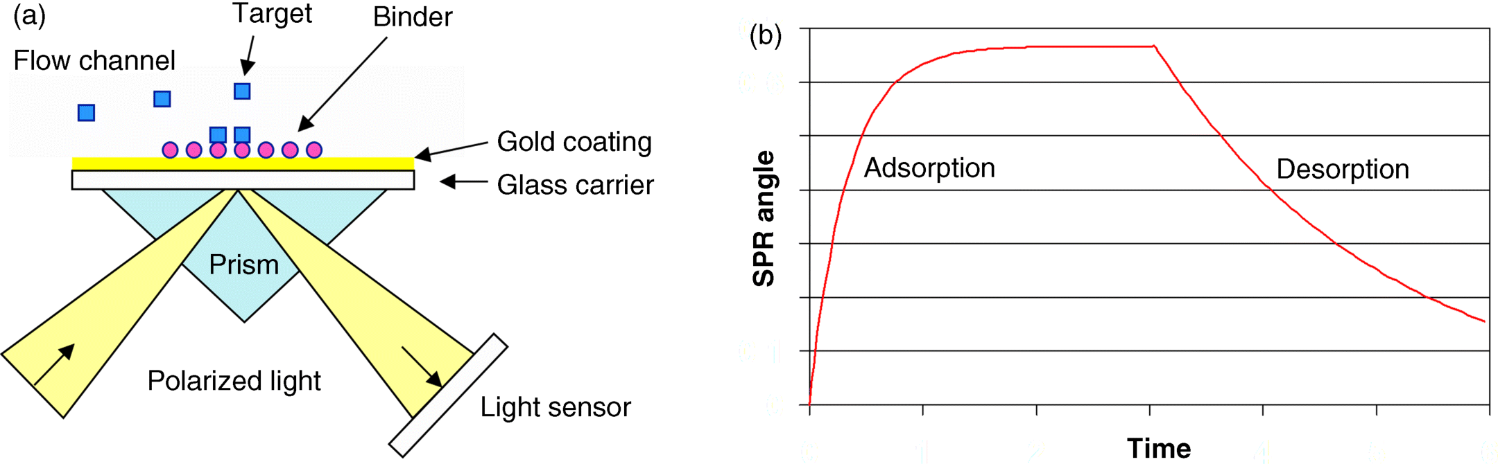 (a) A schematic diagram of the surface plasmon resonance (SPR) technique where the refractive index near the gold surface increases, causing a change in the amount of reflected light if target and binder form a complex. (b) The figure depicting a typical result of an SPR experiment. Initially the flow channel contains target molecules, leading to the formation of target–binder complexes. Later, a washing solution is applied, leading to the desorption of target molecules.