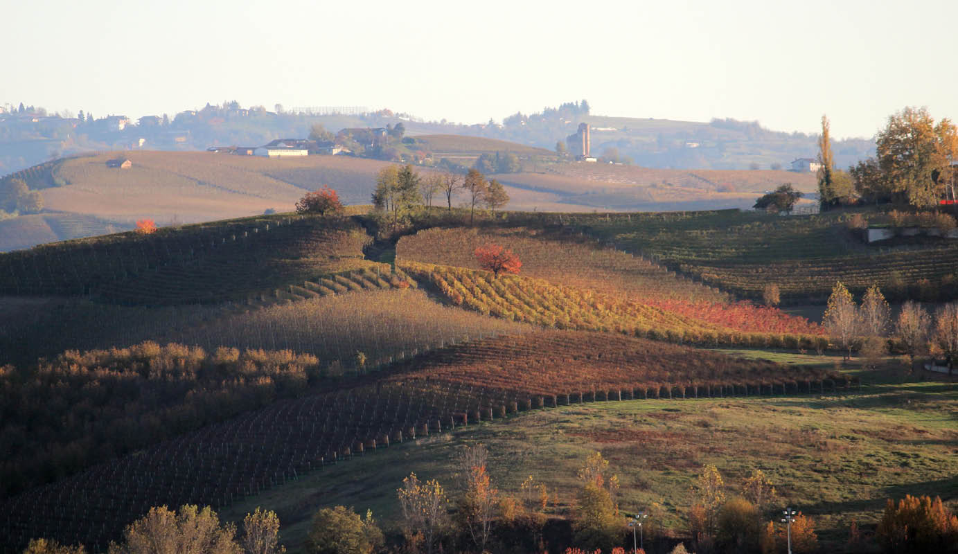 Immagine delle colline delle Langhe