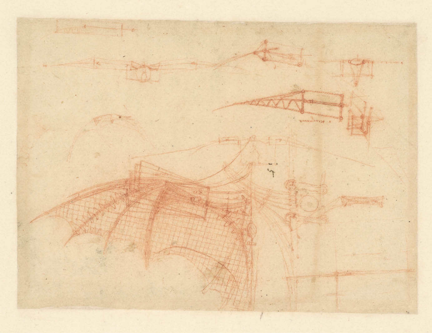 Immagine del Codice Atlantico di Leonardo Da Vinci, f. 70 recto, disegno di un’ala meccanica, 1478-1518, Milano, Veneranda Biblioteca Ambrosiana