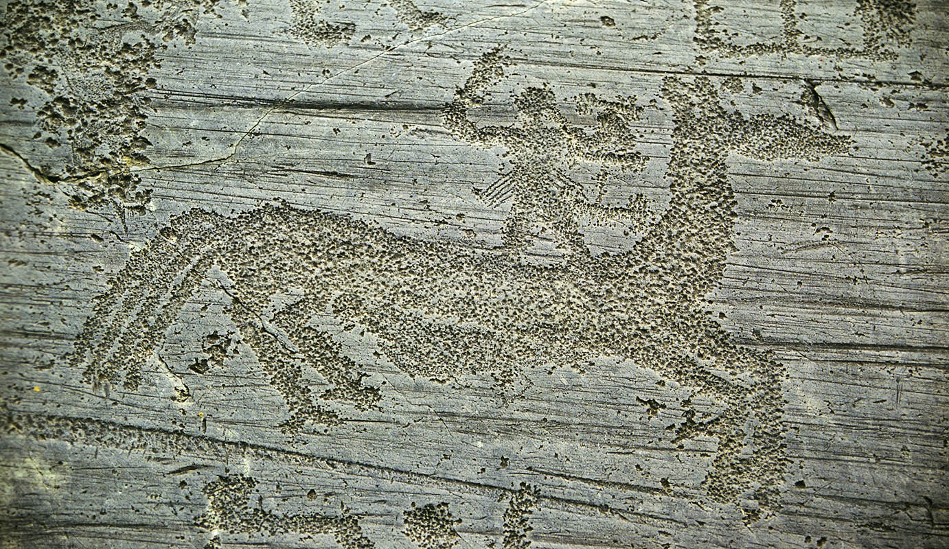 Immagine di un'incisione rupestre raffigurante una scena di vita quotidiana in Valcamonica, I millennio a.C.