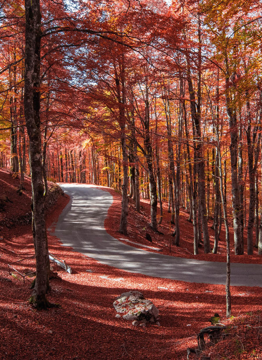 Immagine del Parco Nazionale d’Abruzzo, Lazio e Molise