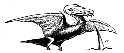 Restoration of Rhamphorhyncus Bucklandi.