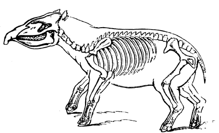 Restoration of Palaeotherium magnum.