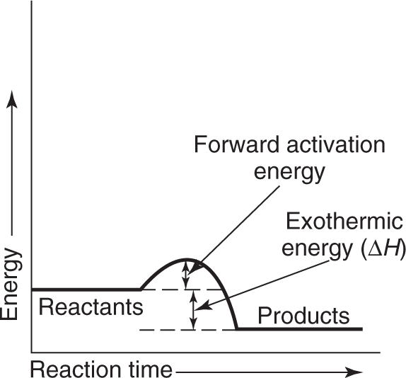 An Exothermic reaction showing forward activation energy and the release of exothermic energy for products with less energy than reactants. 