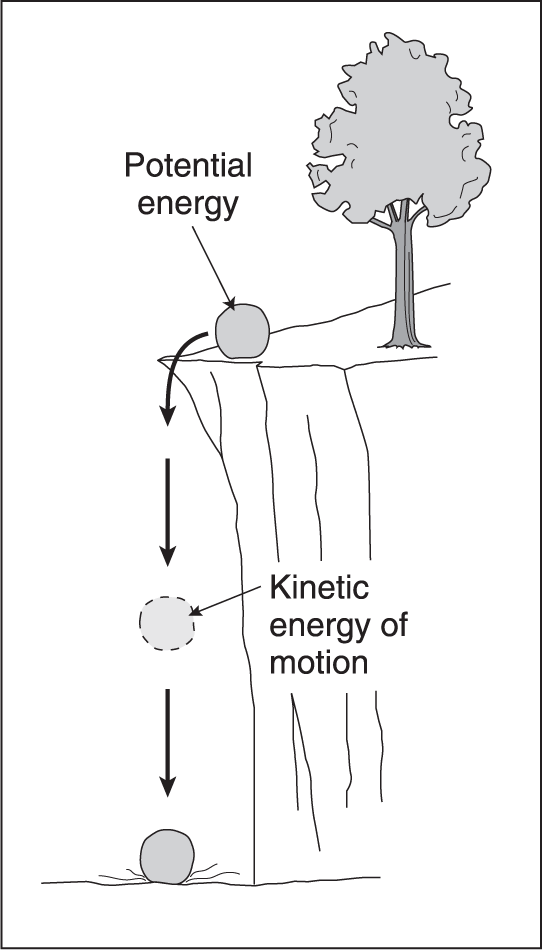 A rock on a cliff has potential energy. As it falls off the cliff, it has kinetic energy of motion until it reaches the ground. 