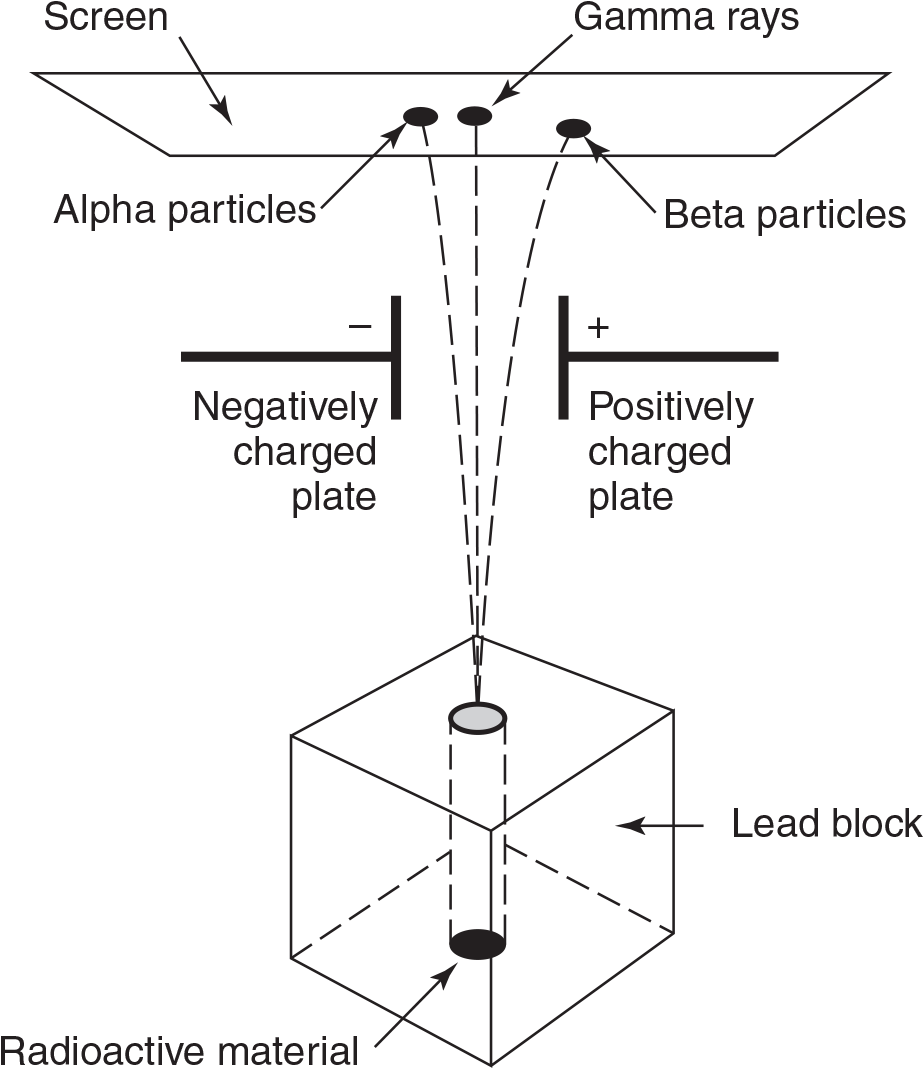 Emission of alpha, beta, and gamma rays diagram. There is radioactive material being emitted out of a lead block. The emissions pass through a negative charged plate and a positively charged plate and then it a screen. The gamma rays are most straight, the alpha particles deflect slightly to the left, and the beta particles deflect the most to the right.  